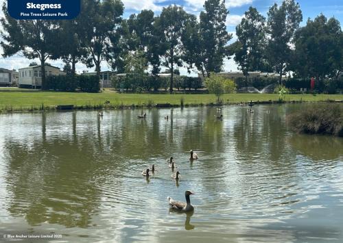 Skegness Complejo | Pine Trees Leisure Park