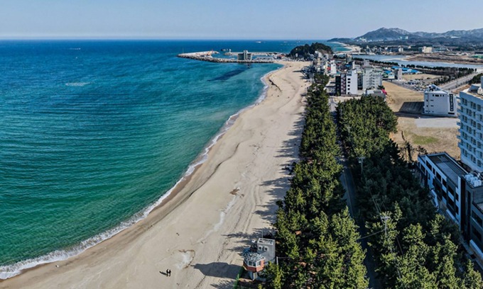 Gangneung Hotel | PINEART LABEL
