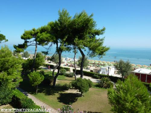 Pineto Apartamento | Pinetina 3 Pineto Vacanza