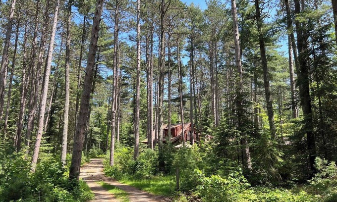 Ely Cabina | Piney Woods Retreat: Sauna, State Parks & Trails!