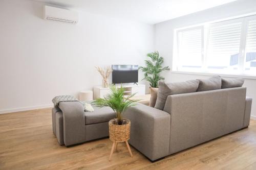 Ponte de Lima Apartamento | Pinheiro Guest House