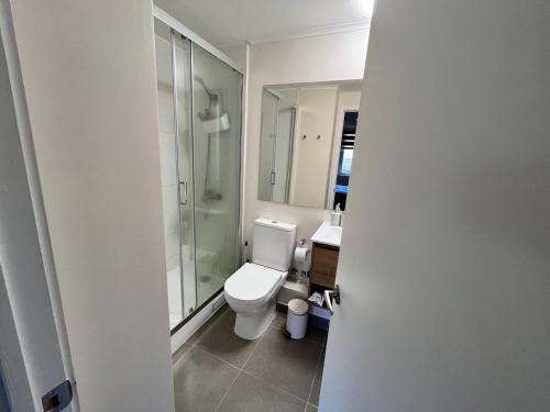 Valdivia Apartamento | Pinto la torre