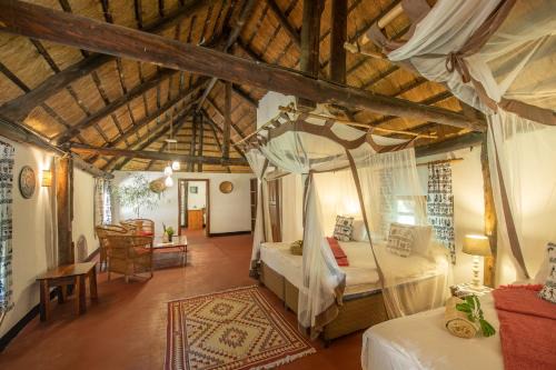 Lusaka Cabina | Pioneer Camp