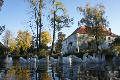 Otmuchow Casa | Piotrowice Nyskie Palace