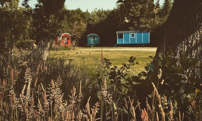 Jubbega Otro | Pipowagens bij Pannenkoekenrestaurant & Camping De Koppenjan 'Een uniek verblijf met kinderspeelboerderij'