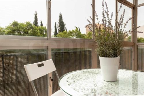 Jardin de la Abadia Apartamento | Piso en barrio tradicional malagueño