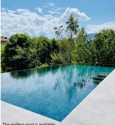 Faistenau Apartamento | place2be - with infinity pool