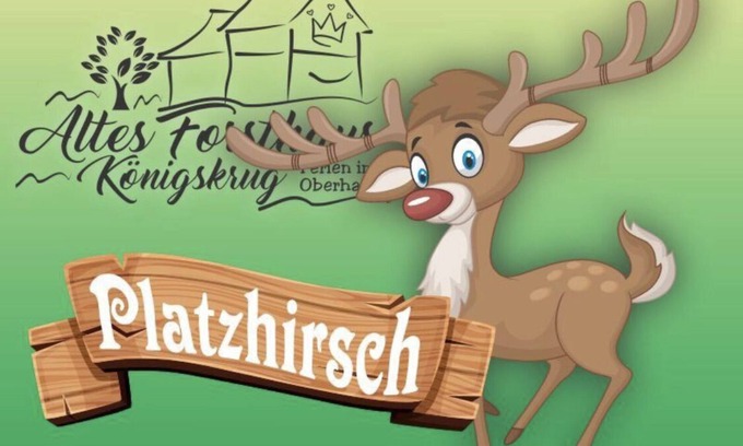 Konigskrug Apartamento | Platzhirsch 🦌 vacation apartment in the Harz National Park