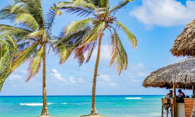 Punta Cana Apartamento | Playa Palmera Beach Resort