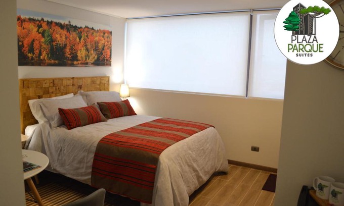 Concepcion Apartamento | Plaza Parque Suites 1109