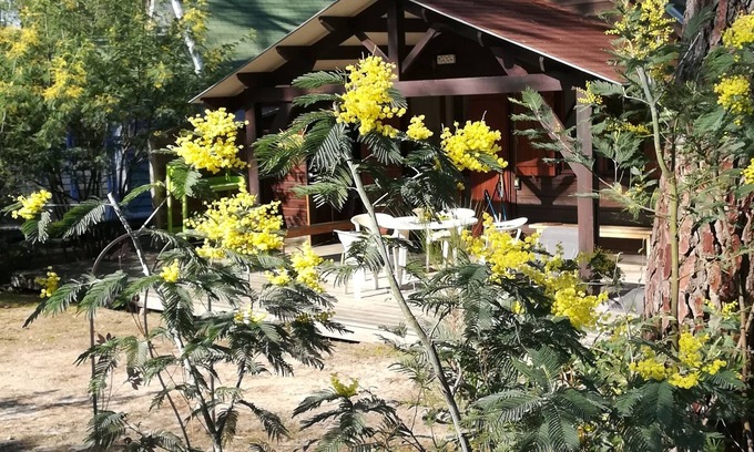 Le Porge Chalet De Esquí | Agradable chalet Tourterelle en un lugar paradisíaco