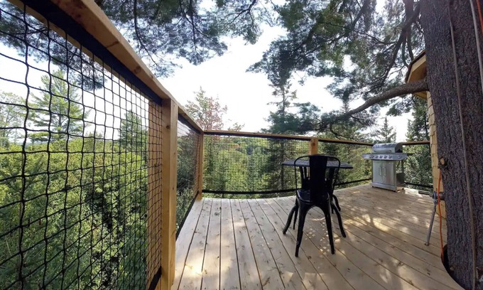 Harrington Cabina | Plus haute cabane dans les arbres en Amérique du Nord - Harrington, Canada