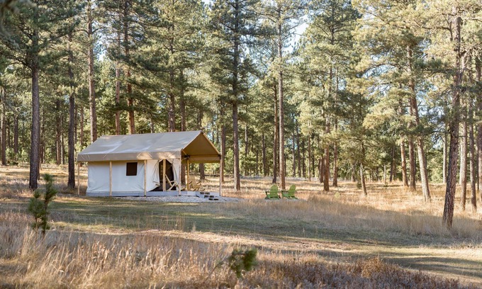 Custer Casa | Plush canvas tent in the forest