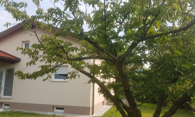 Brda Casa | Počitniška hiša Hum