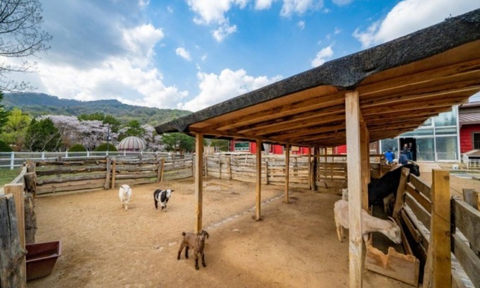 Pocheon Casa | Pocheon Seoundongsan Pension