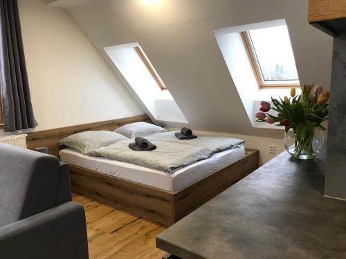 Bela pod Pradedem Apartamento | Pod střechou hor