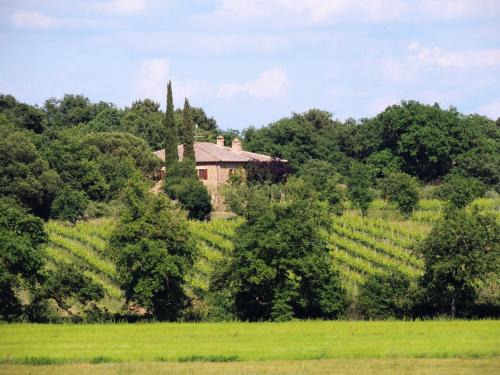 Ferretto Casa | Podere Marella