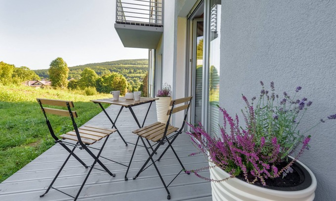 Swieradow-Zdroj Apartamento | Podróżniczy z Sauną - Apartamenty 5d