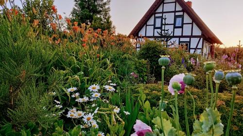 Charbrowo Casa | Podroże Chëcz