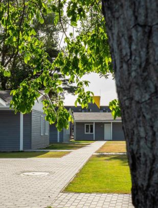Satu Mare Apartamento | Poiana cu flori