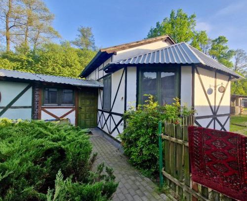 Leoncin Apartamento | Pokój Afryka-Puszcza kampinoska