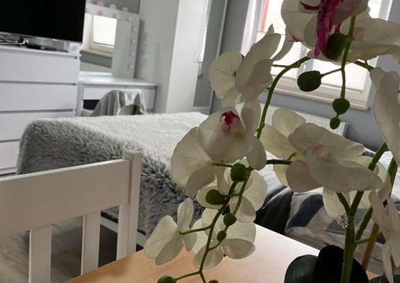 Jaroslawiec Casa | Pokoje gościnne U Sylwii