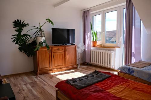 gmina Srokowo Apartamento | Pokoje u Ani