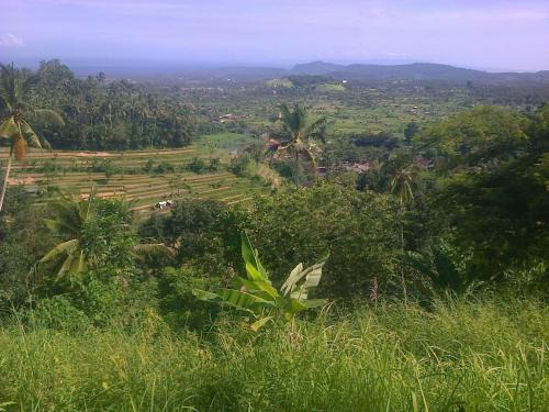 Ababi Casa | Pondok Alam Bukit