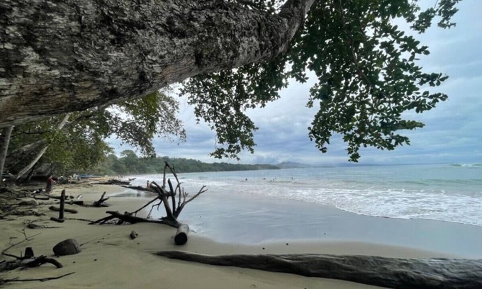 Manzanillo Casa | Poolside | Beach Access | Walk to Dining