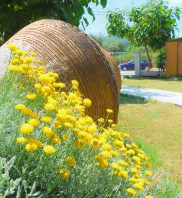 Thasos Town Casa | Port Rooms Pet Friendly