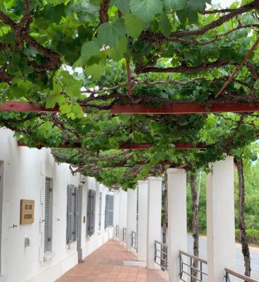 Calitzdorp Cama Y Desayuno | Port Wine Guesthouse