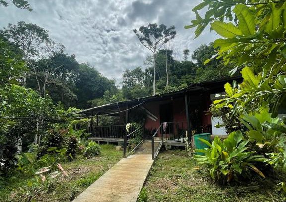 Bahía Drake Cama Y Desayuno | Posada Don Juan