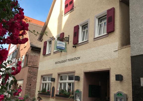 Hirschhorn Hotel | Poseidon Hotel