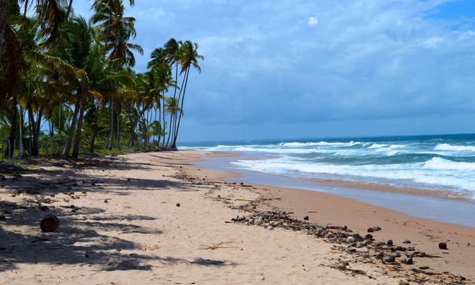 Barra Grande Hotel | Pousada do Holandês Bahia