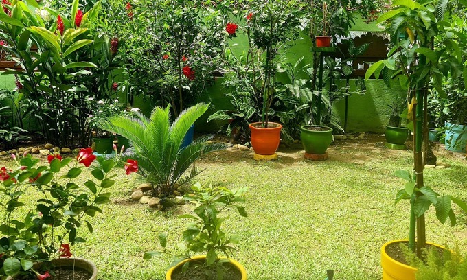 Cabore Hotel | Pousada Flor de Paraty