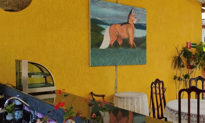 Paraty Apartamento | Pousada Pouso da Gaivota há 5 Minutos do Centro Histórico e do Cais Turístico