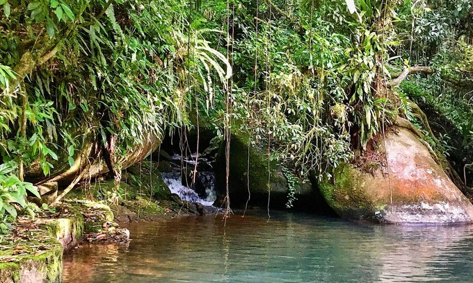 Paraty Cabaña | Casa de campo Pouso da Mata