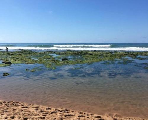Ipitanga Apartamento | praia de ipitanga lauro de freitas