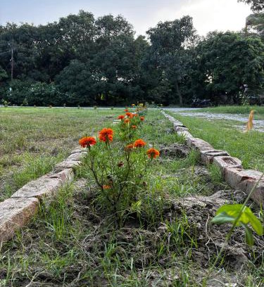 Mayapur Casa | Prakriti wellness stay