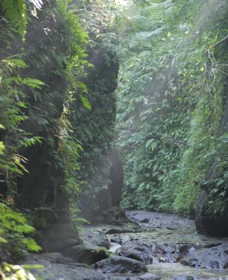 Payangan Complejo | Pramana Giri Kusuma