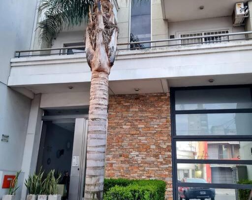 Lanús Apartamento | Precioso departamento en zona gastronomica con cochera