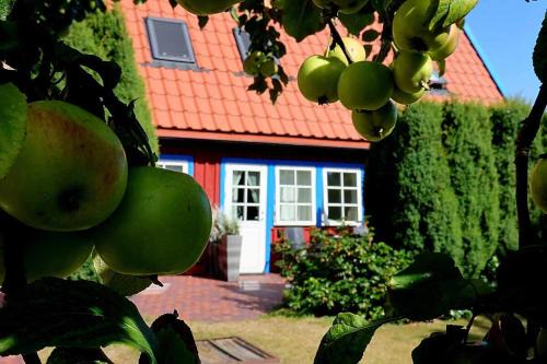 Preila Apartamento | Preilos obuoliukai