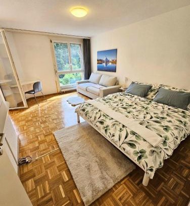 Lucerne Apartamento | Premium Apartment mit Pilatus Sicht
