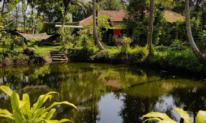 Pattanakkad Casa | Premium home stay with in-house Ayurveda body massage