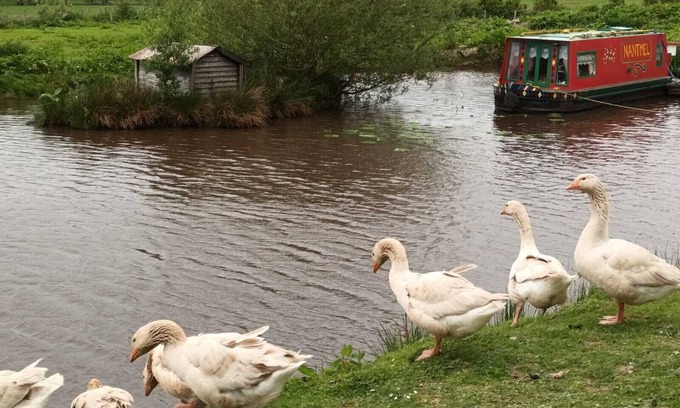 Llandrindod Wells Alquiler De RV | Pretty & Cosy Boat in Stunning Valley View, Wales