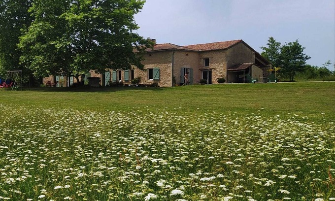 Buzet-sur-Baise Otro | Pretty renovated stone farmhouse with swimming pool and large quiet garden