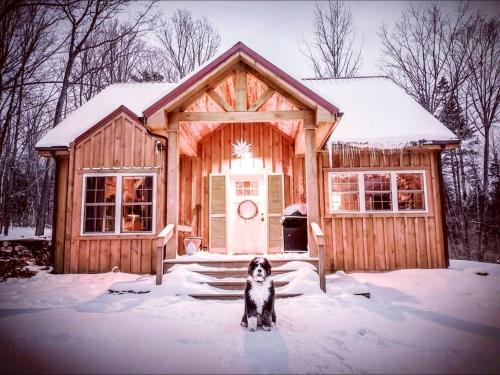 Naples Casa | Pristine and Cozy Cabin Rental Overlooking Pond near Rochester, New York