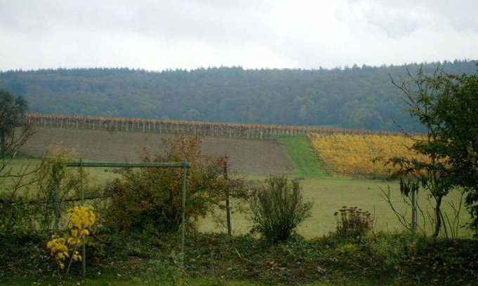 Waldlaubersheim Apartamento | Privat Wohnen in den Weinbergen