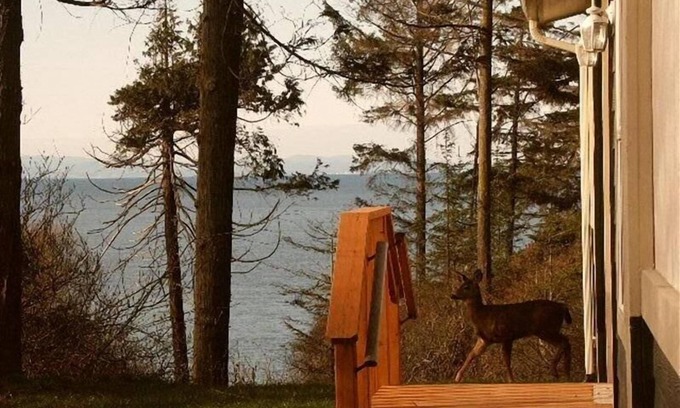 Port Angeles Casa | Humble Bee Hive tiene vistas al agua, Pvt. Playa, entre Sequim y Port Angeles