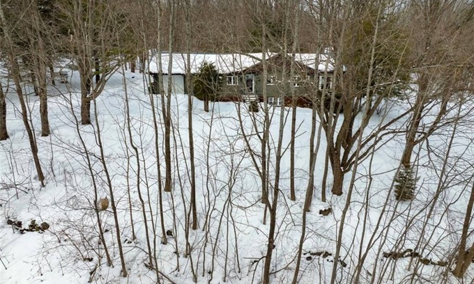 Grey Highlands Cabina | Private Cabin Retreat in Pretty River Valley |15 min to Blue Mountain